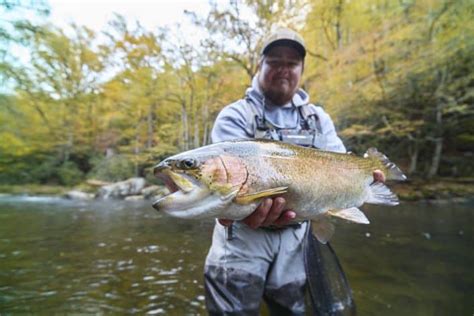 cherokee fishing license|buy fishing license online.